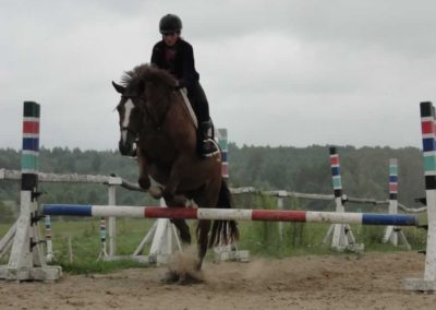 oboz-konie-2016-4-6-0221