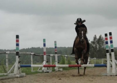 oboz-konie-2016-4-6-0229