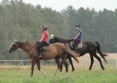 oboz-konie-2016-4-7-0040
