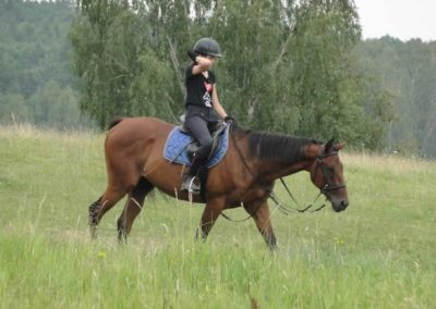 oboz-konie-2016-4-7-0119