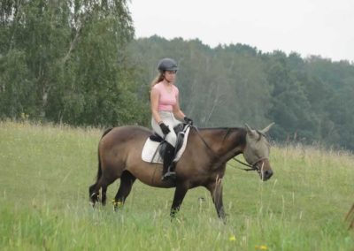 oboz-konie-2016-4-7-0123