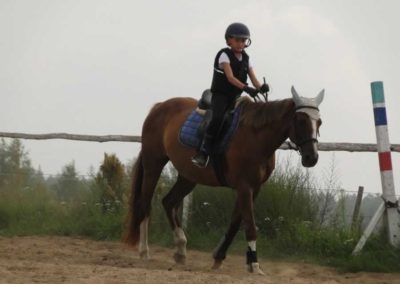 oboz-konie-2016-4-7-0159