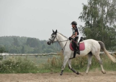 oboz-konie-2016-4-7-0178