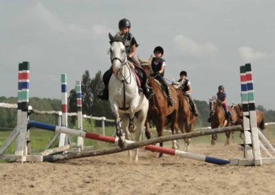 oboz-konie-2016-4-7-0193
