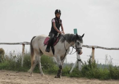oboz-konie-2016-4-7-0195