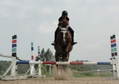 oboz-konie-2016-4-7-0216