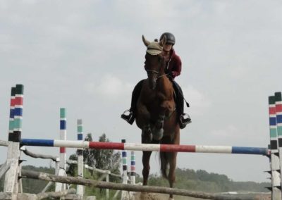 oboz-konie-2016-4-7-0224