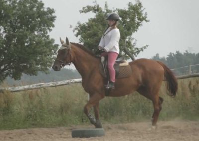 oboz-konie-2016-4-7-0231