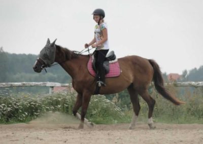 oboz-konie-2016-5-1-0004