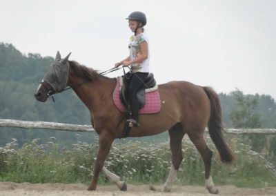 oboz-konie-2016-5-1-0008