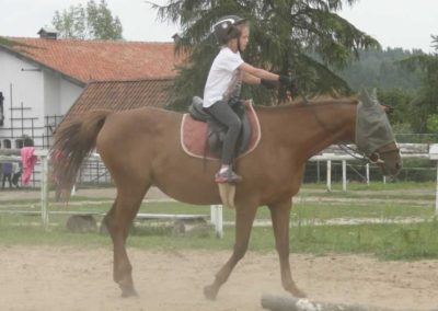 oboz-konie-2016-5-1-0063