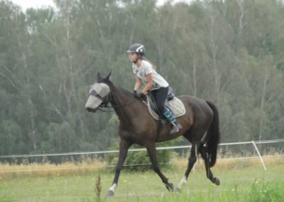 oboz-konie-2016-5-1-0211