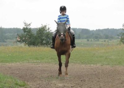 oboz-konie-2016-5-1-0222