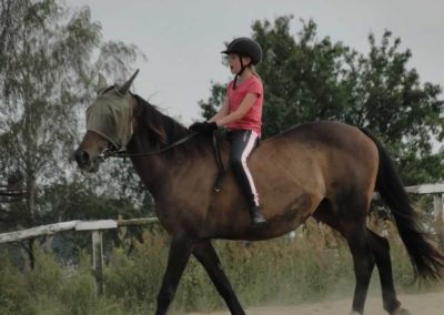 oboz-konie-2016-5-1-0238