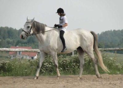 oboz-konie-2016-5-1-0300
