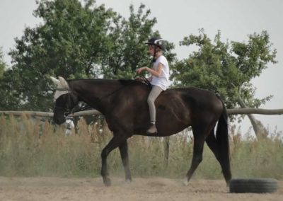 oboz-konie-2016-5-1-0304