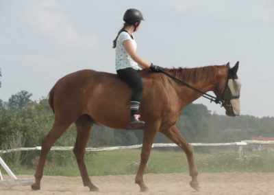 oboz-konie-2016-5-1-0353