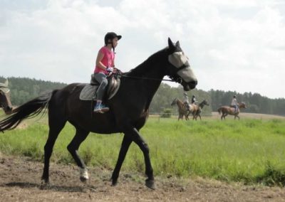 oboz-konie-2016-5-2-0030