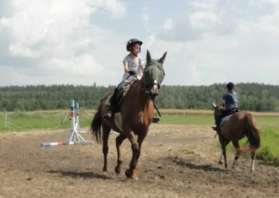 oboz-konie-2016-5-2-0032
