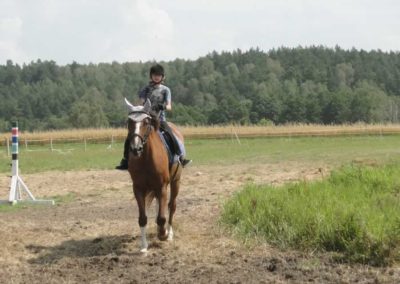oboz-konie-2016-5-2-0042