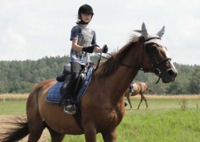 oboz-konie-2016-5-2-0043