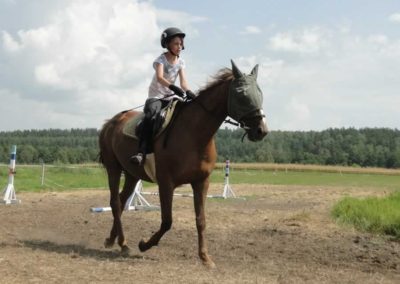 oboz-konie-2016-5-2-0044