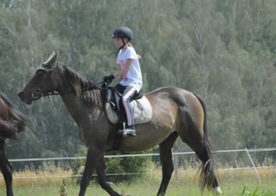 oboz-konie-2016-5-2-0046