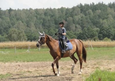 oboz-konie-2016-5-2-0059