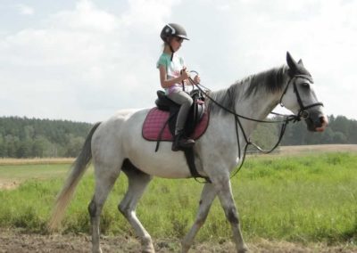 oboz-konie-2016-5-2-0062