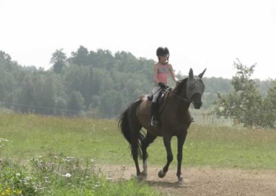 oboz-konie-2016-5-2-0111
