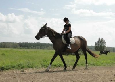 oboz-konie-2016-5-2-0113