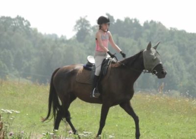 oboz-konie-2016-5-2-0123
