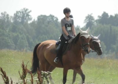 oboz-konie-2016-5-2-0124