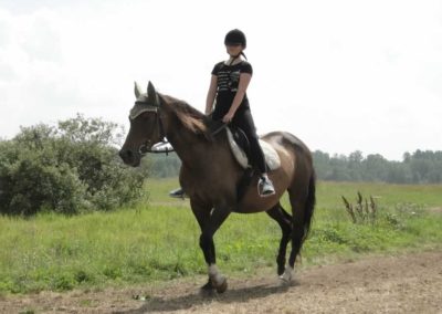 oboz-konie-2016-5-2-0128