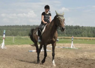 oboz-konie-2016-5-2-0152