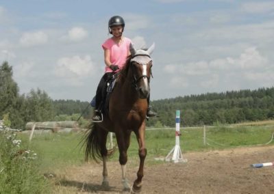 oboz-konie-2016-5-2-0153