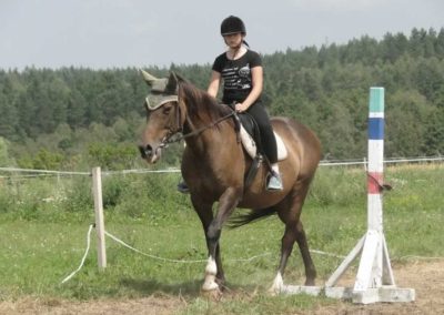 oboz-konie-2016-5-2-0159