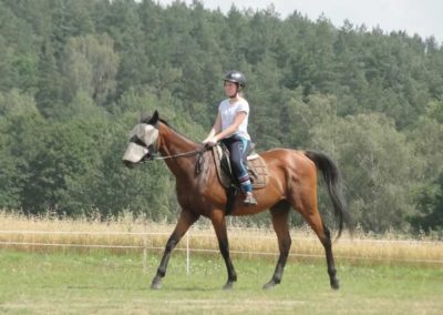 oboz-konie-2016-5-2-0162