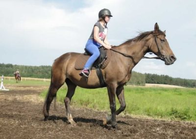 oboz-konie-2016-5-2-0172