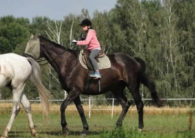 oboz-konie-2016-5-2-0179
