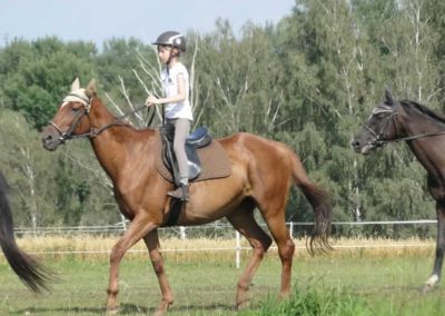 oboz-konie-2016-5-2-0180