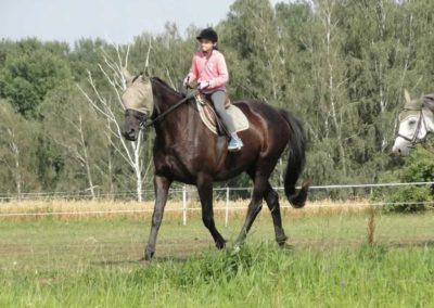 oboz-konie-2016-5-2-0197