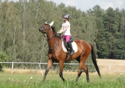 oboz-konie-2016-5-2-0198
