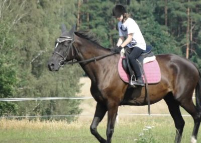 oboz-konie-2016-5-2-0208