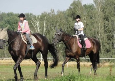 oboz-konie-2016-5-2-0238