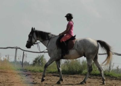 oboz-konie-2016-5-2-0283