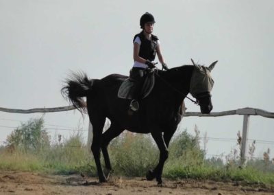 oboz-konie-2016-5-2-0292