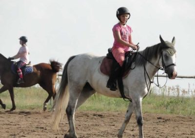 oboz-konie-2016-5-2-0293