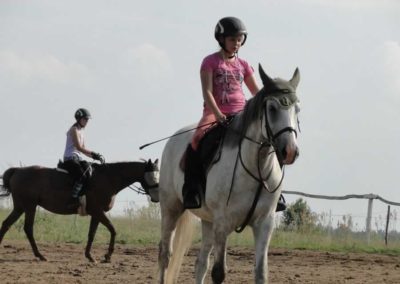 oboz-konie-2016-5-2-0295