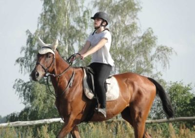 oboz-konie-2016-5-2-0357